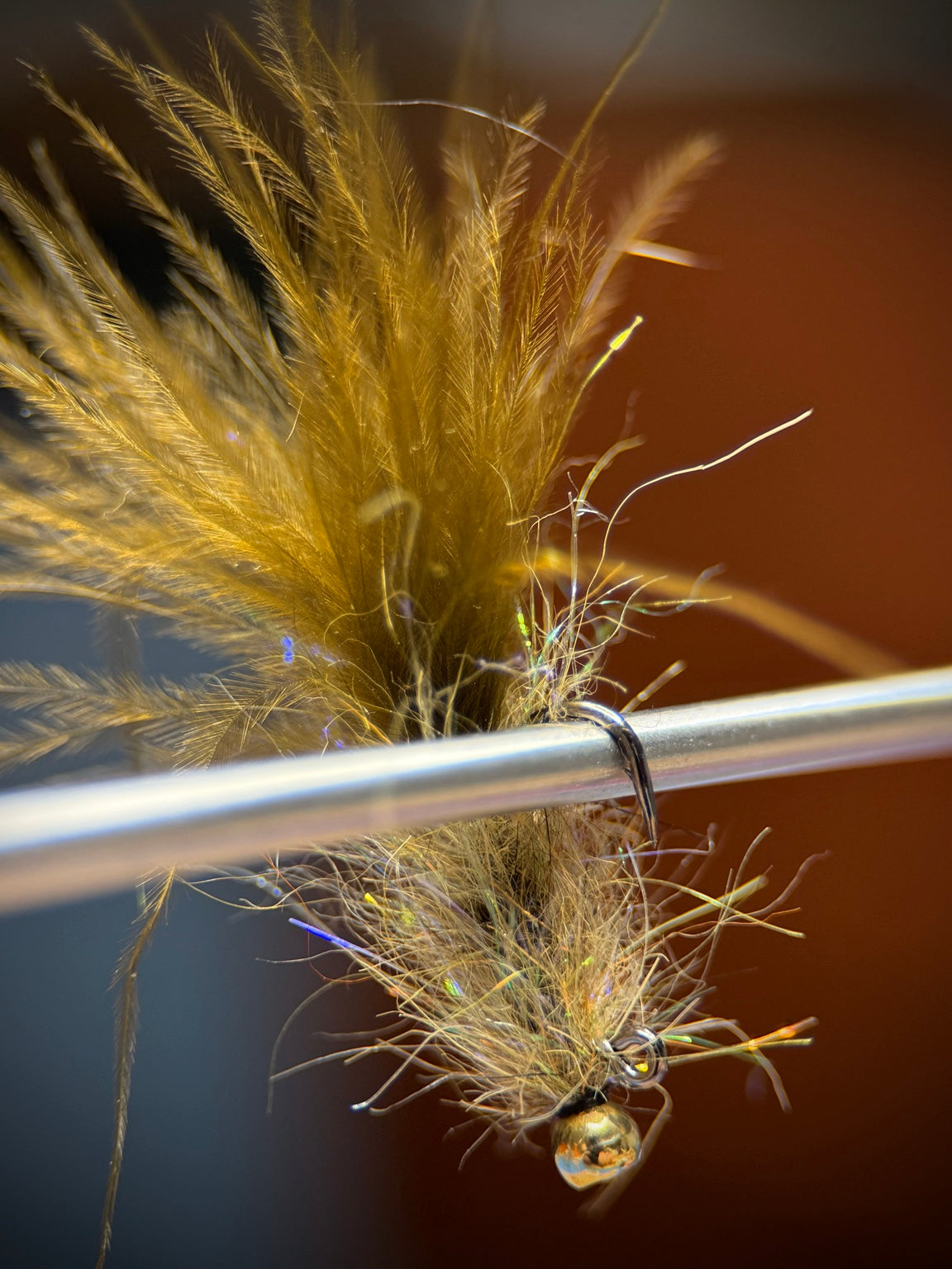 Olive brown balanced leech
